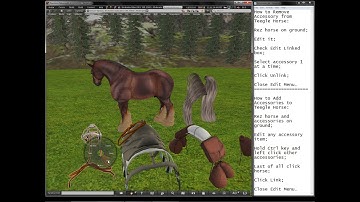 Adding / Removing - Accessories to Teegle Horse