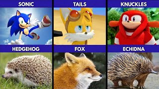Which Real Animals Inspired the Sonic Characters?
