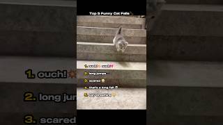 Cat Funny Falls