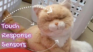 Can a Robot Help Manage Mental Health? Brief Intro to Robot Therapy & Chongker MateCat Pro