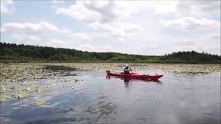 Kajaktour im Seerosenparadies, Mecklenburgische Seenplatte, vom Kotzower Seen zur Schlossinsel Mirow