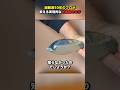 掃除の達人が教える掃除のコツ #ショート #ライフハック #shorts