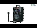 Автономна акустична система BIG120HALLOWEN USB / MP3 / FM / BT / TWS + 2pcs VHF mic