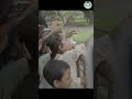 Dhaka Zoo Trip 2025 | Scholar International School Students Explore Wildlife