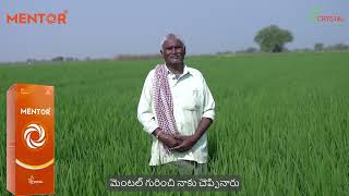 Meet Venkat Reddy From Khadarabad, Andhra Pradesh Mentor Crystal Crop Protection