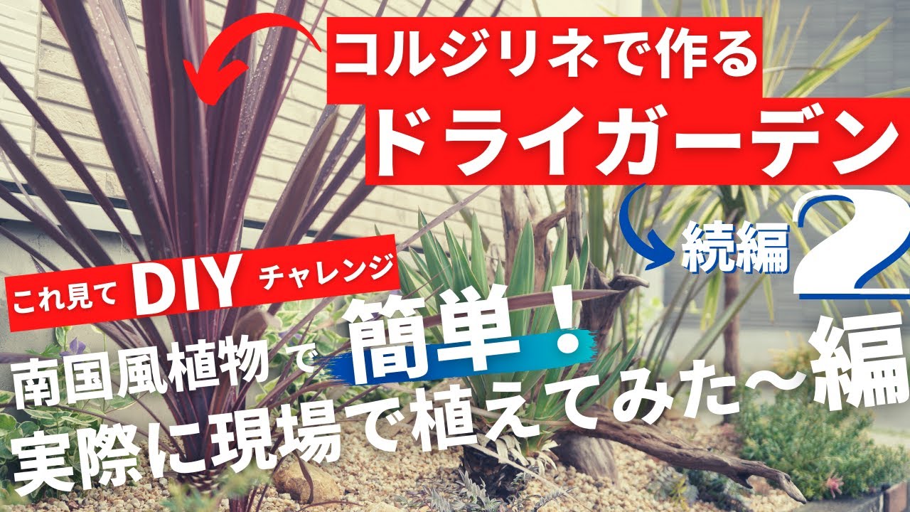 【コルジリネで作るドライガーデン2】実際に現場で植えてみた～編！コルジリネを使ったガーデニングです！
