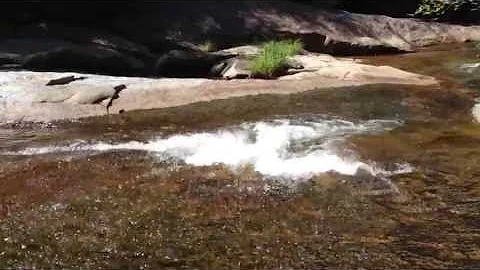 Gragg Prong creek