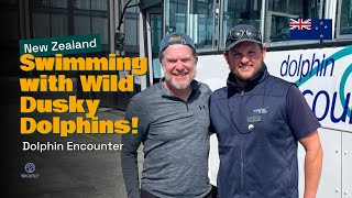 Swimming With Wild Dolphins In New Zealand