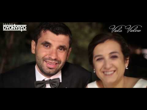 Projeto Viola & Violino