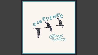 Nighthawk