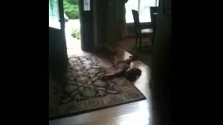 Kid Screams Super Loud