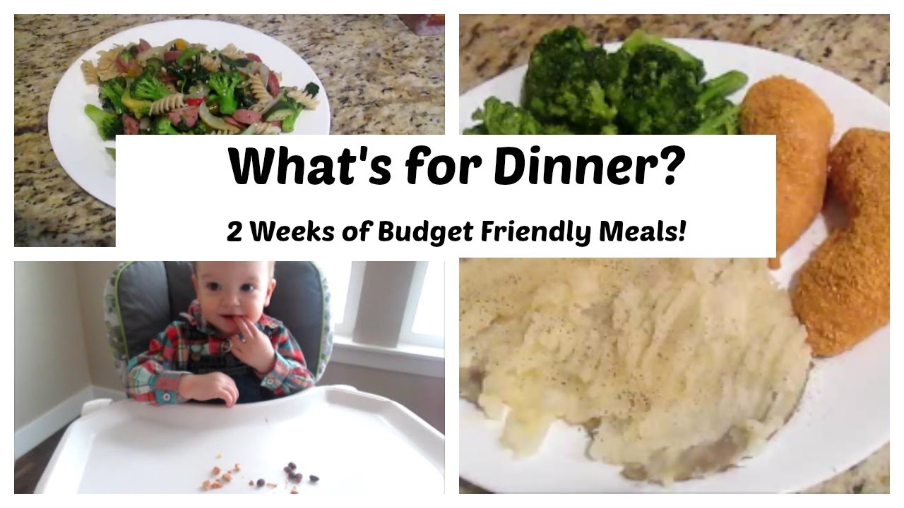 What's for Dinner? | 2 Weeks of Meals! - YouTube