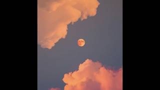 [FREE] Acoustic Guitar Type Beat Not Alone (Acoustic Pop Instrumental)