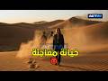 خيانة مفاجئة   نجومي
