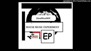 07 Zeronineskk Feat Shou Musik  Enthusiasm  Original Mix 