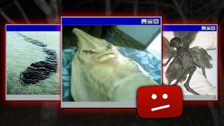 The Cryptids of Old YouTube