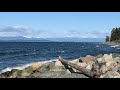 Qualicum Beach in April 2021 || Vancouver Island, BC, Canada