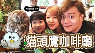 帶Nyonyo到日本貓頭鷹咖啡廳玩囉!!