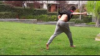 Wild Life.- Parkour 2020