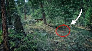 I Never Thought I'd See This on a Backcountry Hike…