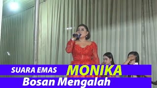 Download Lagu Bosan Mengalah Tia Monika MP3