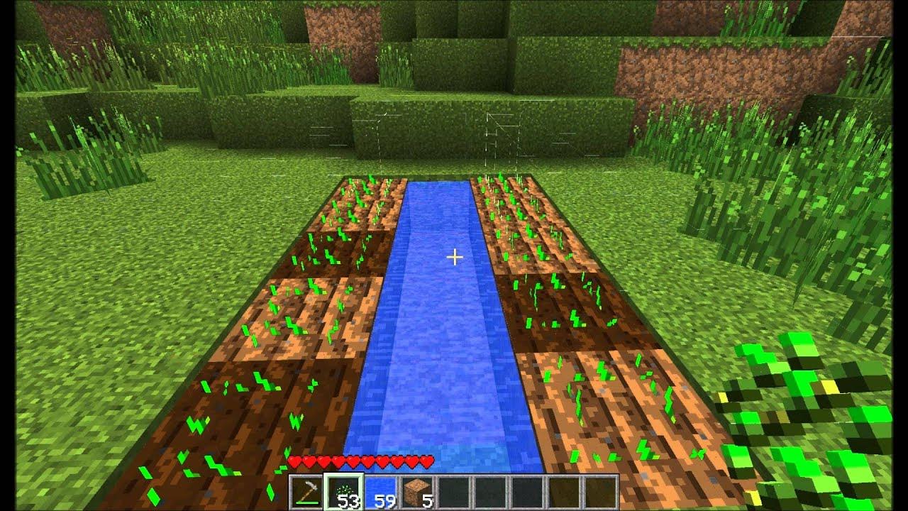 How to create an Efficient Farm + How to make plants grow faster