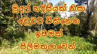 මුදල් හදිසියකට අඩුවට දෙන ඉඩමක්  | Land for sale in Pilimathalawa Sri Lanka | Kandy Property