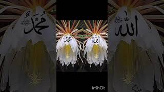 Islamic chanalkisi se kyu karu fariyad kawish _ wo mera nabi hai _ naat sharif