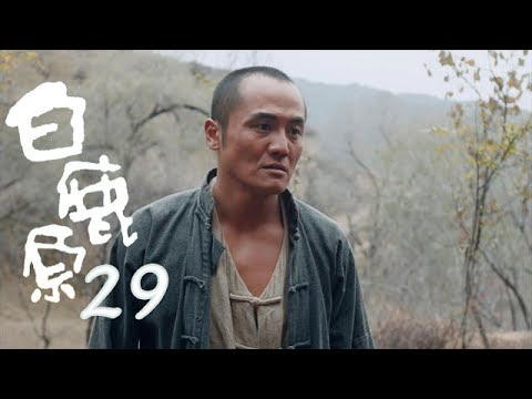 白鹿原 |  White Deer 29【TV版】（張嘉譯、秦海璐、何冰等主演）