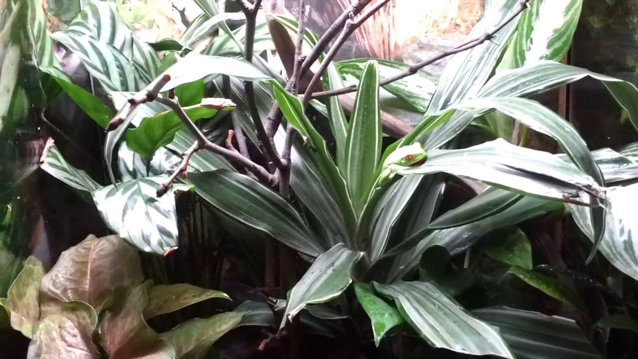 lizard skin grips March 2014 Reptile Room Update