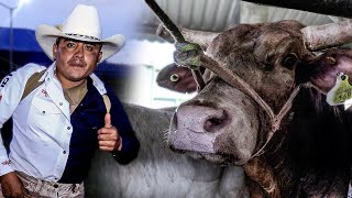 FIERA BATALLA LLEGARON BUENOS TOROS Y JINETES // Rancho Santa Anita En Sta Clara del Cobre Michoacan
