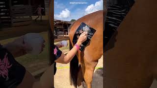 Girl’s Creative Design on a Horse 🐴💖 #YouTubeShorts #shorts #art #design #creative #animal #horse