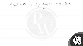 \( \begin{array}{lll} & \text { Column I } & \text { Column II } \\ \text { P. } & \text { Azoll...