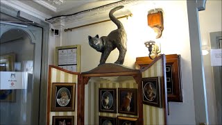 Cat Museum AMSTERDAM 😺 | Adventures with La Carmina