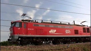 レッドサンダーEF510-23牽引高速貨物3097レ 広島(タ)→新潟(タ)