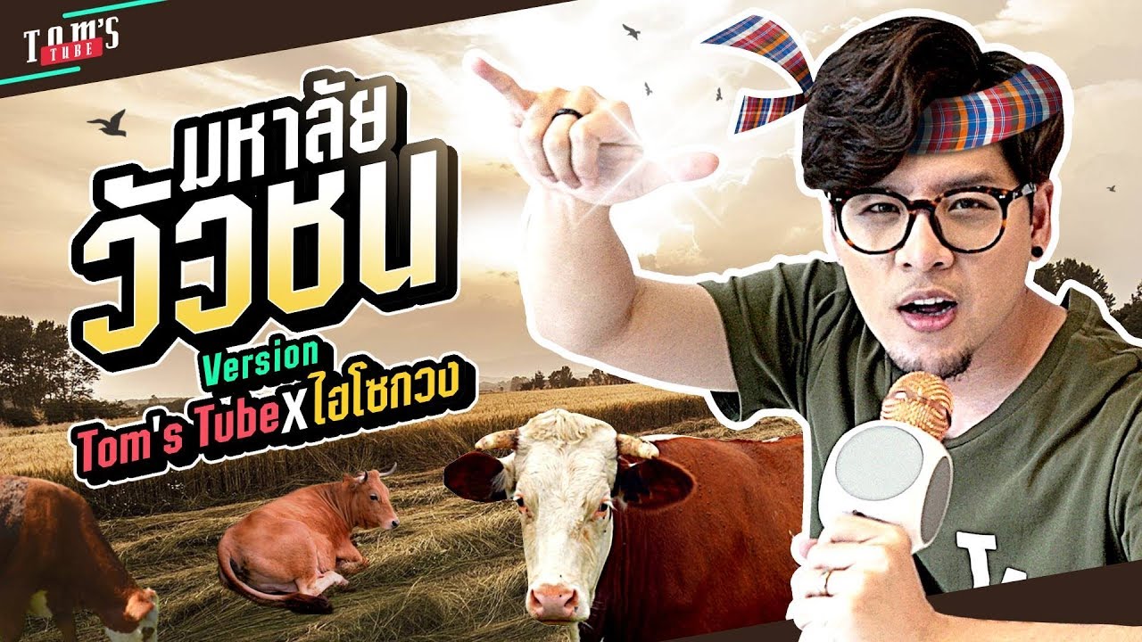 เอาใจพี่น้องภาคใต้กับมหาลัยวัวชน ทอม x ไฮโซกวง | Tom's Tube