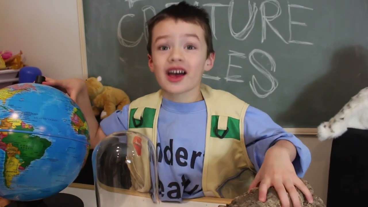 Ender’s Creature Files: The Pink Toed Tarantula