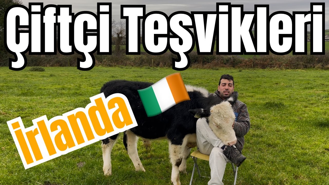İrlanda’da Çiftçilerin Aldığı Teşvikler. Süt, Besi ve Koyun Çiftlikleri.