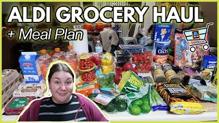 150 1-Week Grocery Haul Meal Plan Aldi Haul