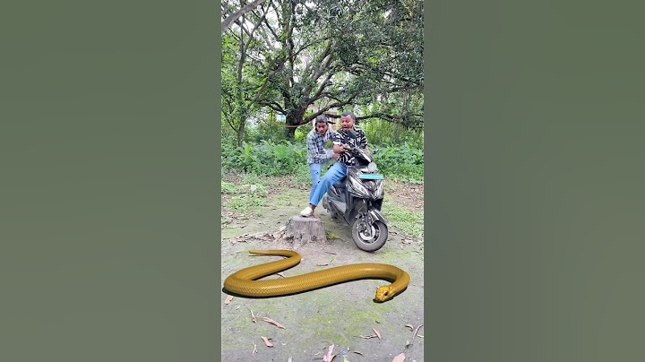 Naag Nagin Ne Pichla Badla Liya 🐍😱 #shorts #ytshorts #viralvideo #nagin #snake