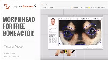 Cartoon Animator 4 Tutorial - Morph-based Heads for Free Bone Actors