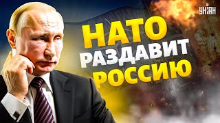 Путин слетел с катушек! Шутки закончились: НАТО раздавит Россию. Двуглавому петуху не позавидуешь