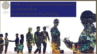 What is Organizational Development?