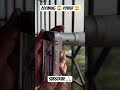 power 🤯 zooming 🔥⚡ #viral #trending #dslr #shotsfeed