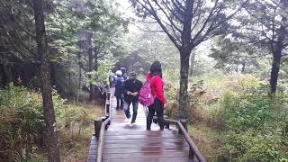 1070702 跟雄獅旅遊 雪霸觀霧之旅(11)