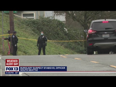 Suspect shot and