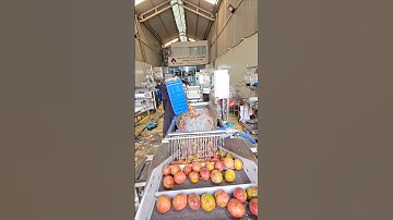 Máy rửa sục khí, Rửa chanh dây của Tech Garden. Tư vấn sản xuất: 093 5911775 Trần Trinh.