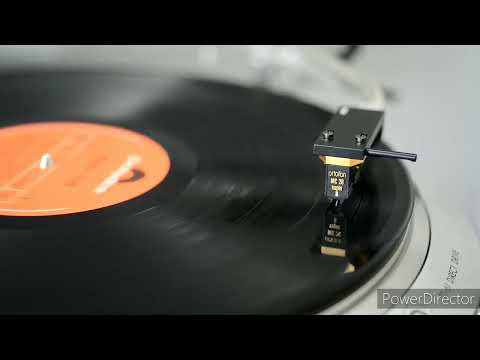 Shirley Kwan關淑怡 叛逆漢子1989 By Victor TT 61 Ortofon MC20 Super II 黑膠 Vinyl LP