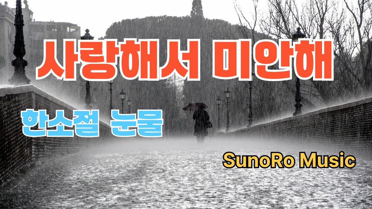 사랑해서 미안해 💔｜애절한 정통 트로트 발라드