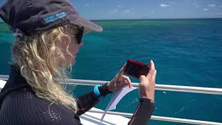 Virtual Reef Diver – celebrating our achievements